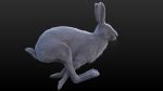 Hare Maya2022 (RIG) (XGEN-CORE) Online | 3D Models Online | Massimo Righi