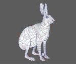 Hare Maya2022 (RIG) (XGEN-CORE) Online | 3D Models Online | Massimo Righi