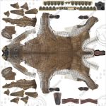 Buy Deer (ANIMATED) (XGEN-CORE) 3D Models Online | Massimo Righi | Animal 3D Model Online