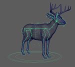 Buy Deer (ANIMATED) (XGEN-CORE) 3D Models Online | Massimo Righi | Animal 3D Model Online