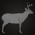 Buy Deer (ANIMATED) (XGEN-CORE) 3D Models Online | Massimo Righi | Animal 3D Model Online
