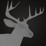 Buy Deer (ANIMATED) (XGEN-CORE) 3D Models Online | Massimo Righi | Animal 3D Model Online