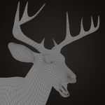 Buy Deer (ANIMATED) (XGEN-CORE) 3D Models Online | Massimo Righi | Animal 3D Model Online