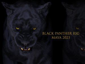 Black Panther Animated (Xgen-core) Online | Massimo Righi 3D Models