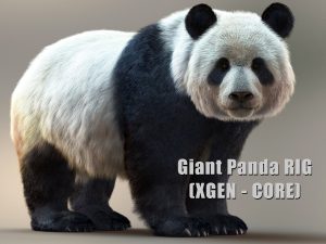 Giant Panda (RIG) (XGEN-CORE) 3D Model Online | Panda 3D Model Online