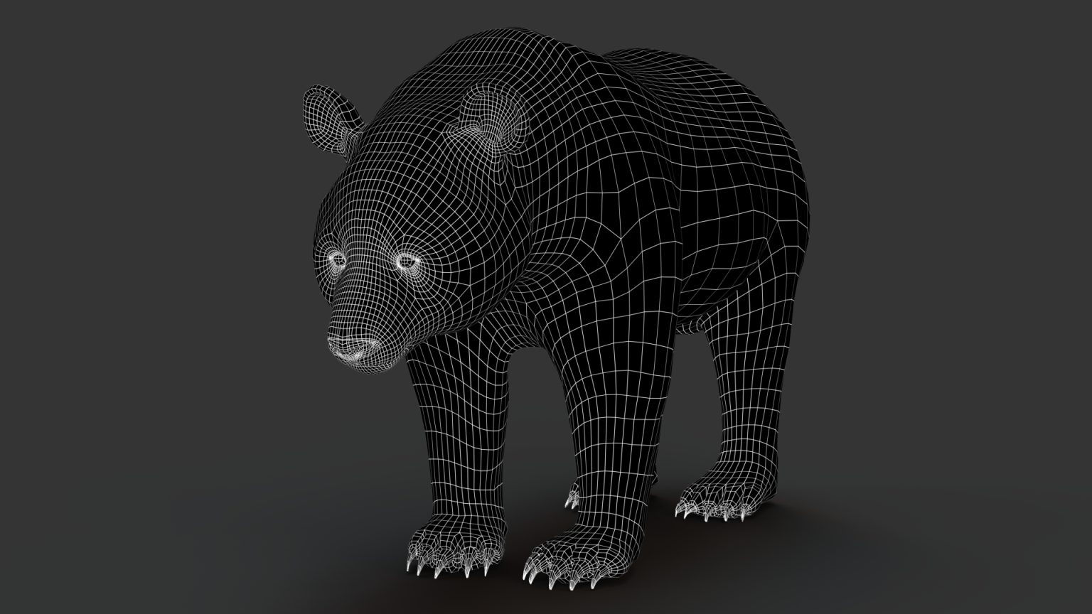 Giant Panda (RIG) (XGEN-CORE) 3D Model Online | Panda 3D Model Online