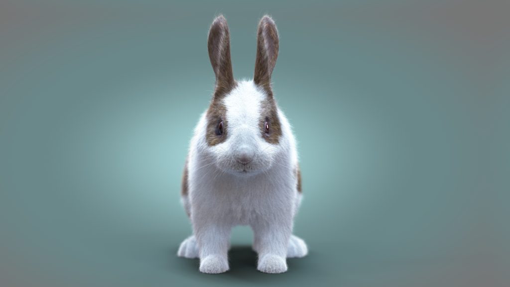 Spotted Rabbit Animated ( XGEN-CORE ) 3D Model Online | Rabbit 3D Model ...