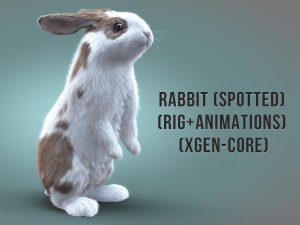 Buy 3D Models Online | Rabbit 3D Models Online