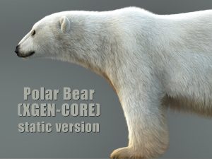 Polar Bear 3D Model Online | Animal 3D Model Online