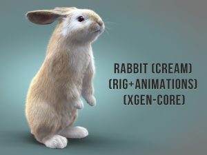 Buy 3D Models Online | Rabbit 3D Models Online