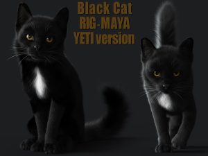 Buy 3D Models Online | Cat 3D Models Online