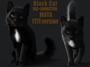 Buy 3D Models Online | Cat 3D Models Online