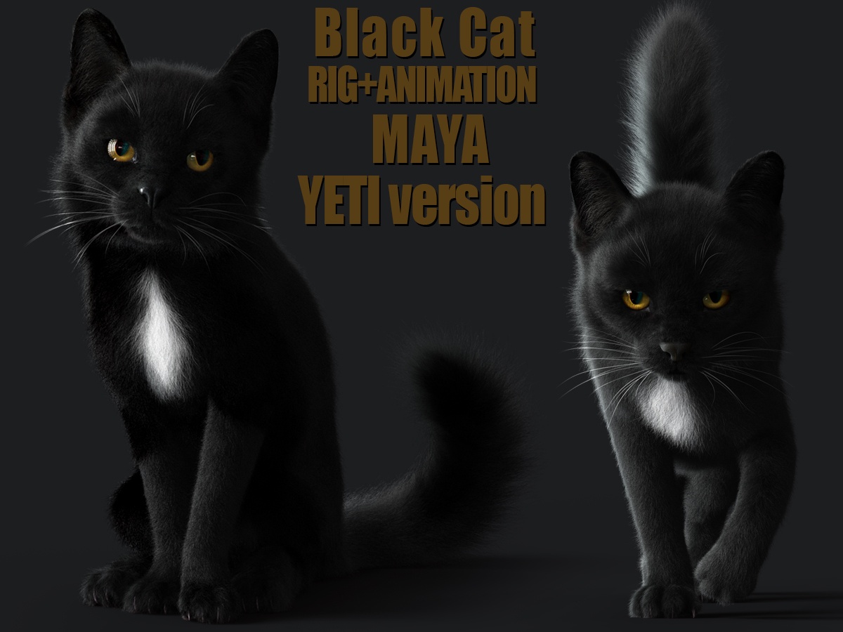 Buy 3D Models Online | Cat 3D Models Online