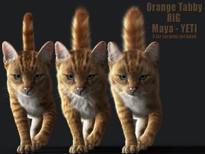 Buy 3D Models Online | Cat 3D Models Online