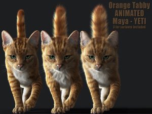 Buy 3D Models Online | Cat 3D Models Online