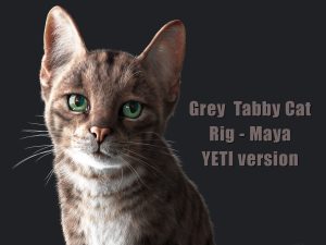 Buy 3D Models Online | Cat 3D Models Online
