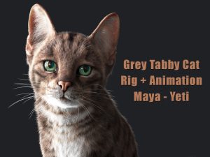 Buy 3D Models Online | Cat 3D Models Online