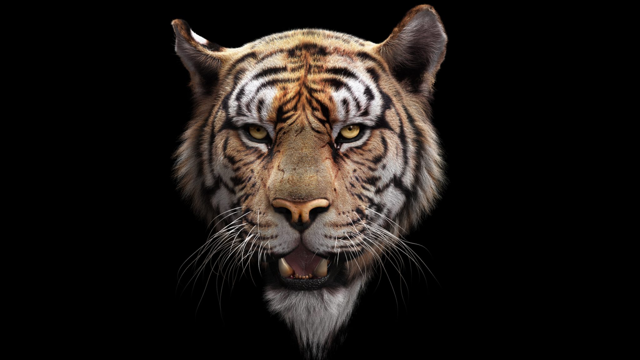 Buy Bengal Tiger RIG (Yeti) Online | Massimorighi.com