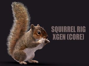 Buy 3D Models Online | Squirrel 3D Models Online