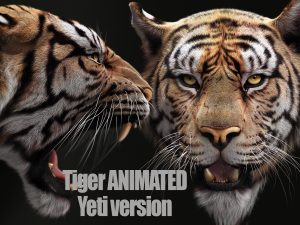 Buy 3D Models Online | Bengal Tiger 3D Models Online