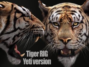 Buy 3D Models Online | Bengal Tiger 3D Models Online