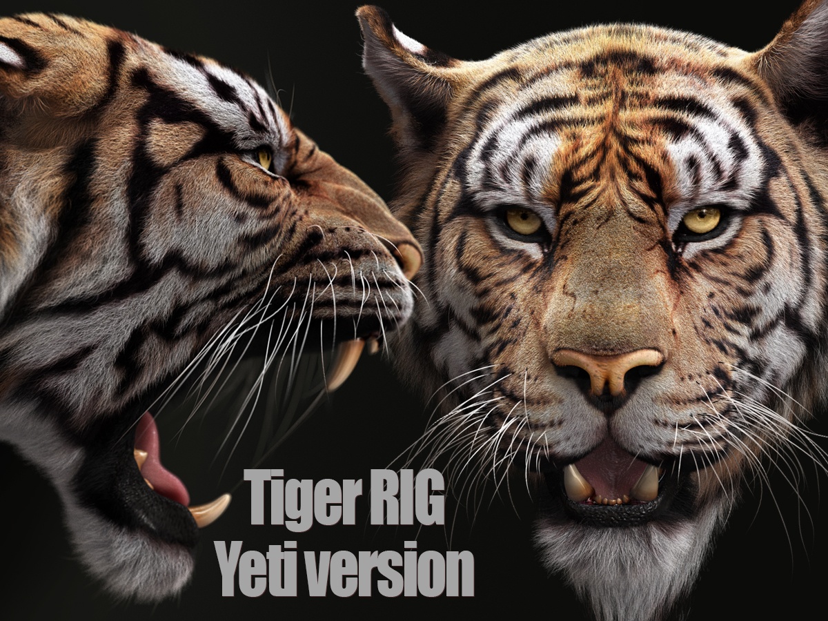 Bengal Tiger Rig