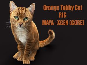 Buy 3D Models Online | Cat 3D Models Online