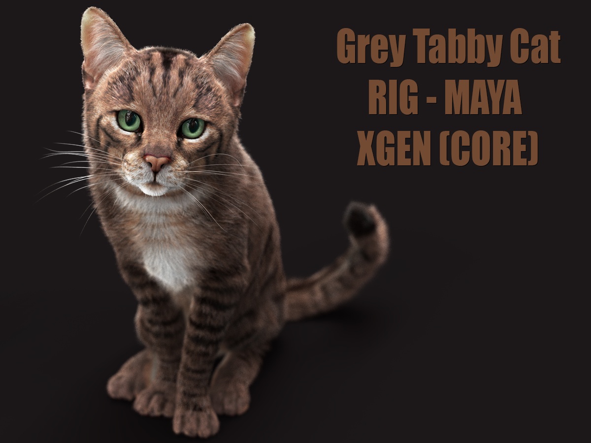 Buy 3D Models Online | Cat 3D Models Online