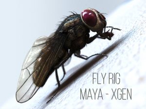 Buy 3D Models Online | Fly 3D Models Online
