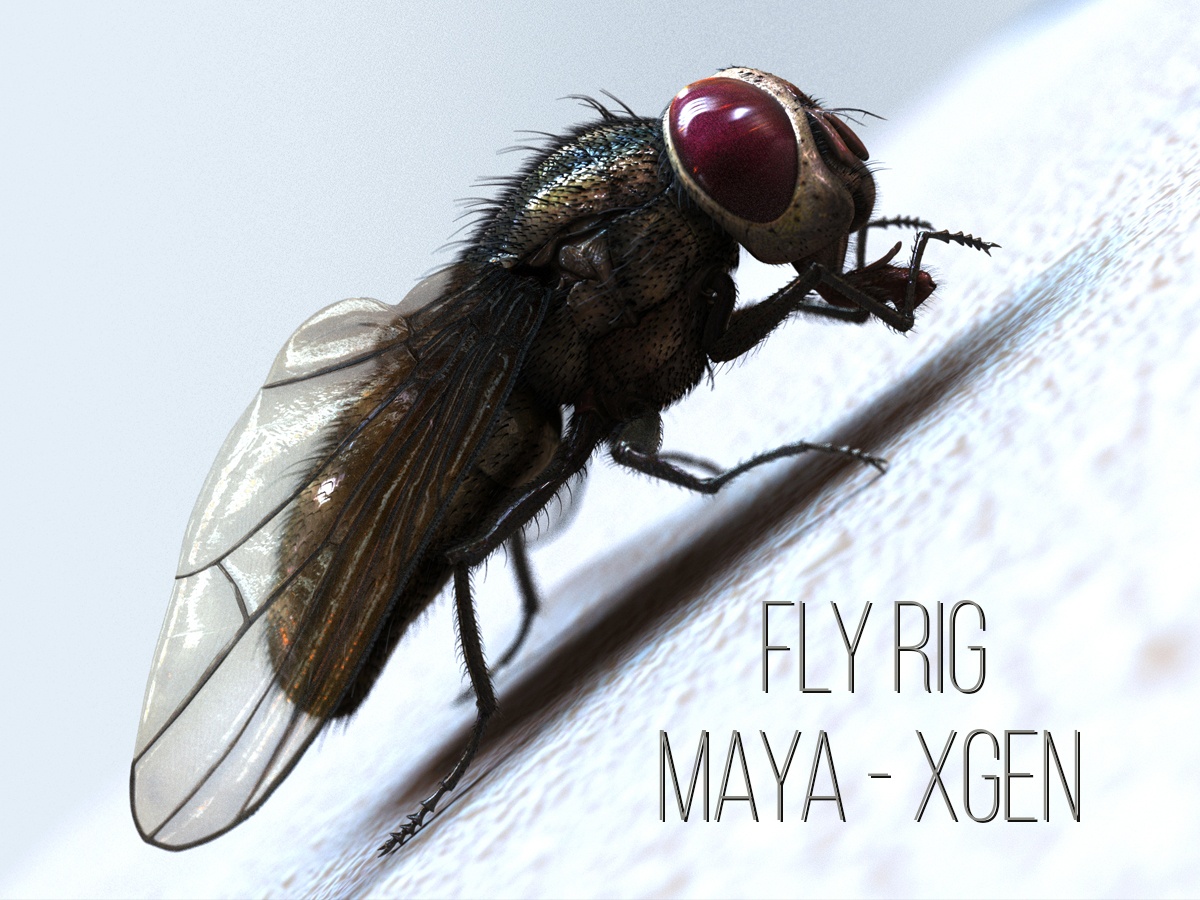 Buy 3D Models Online | Fly 3D Models Online