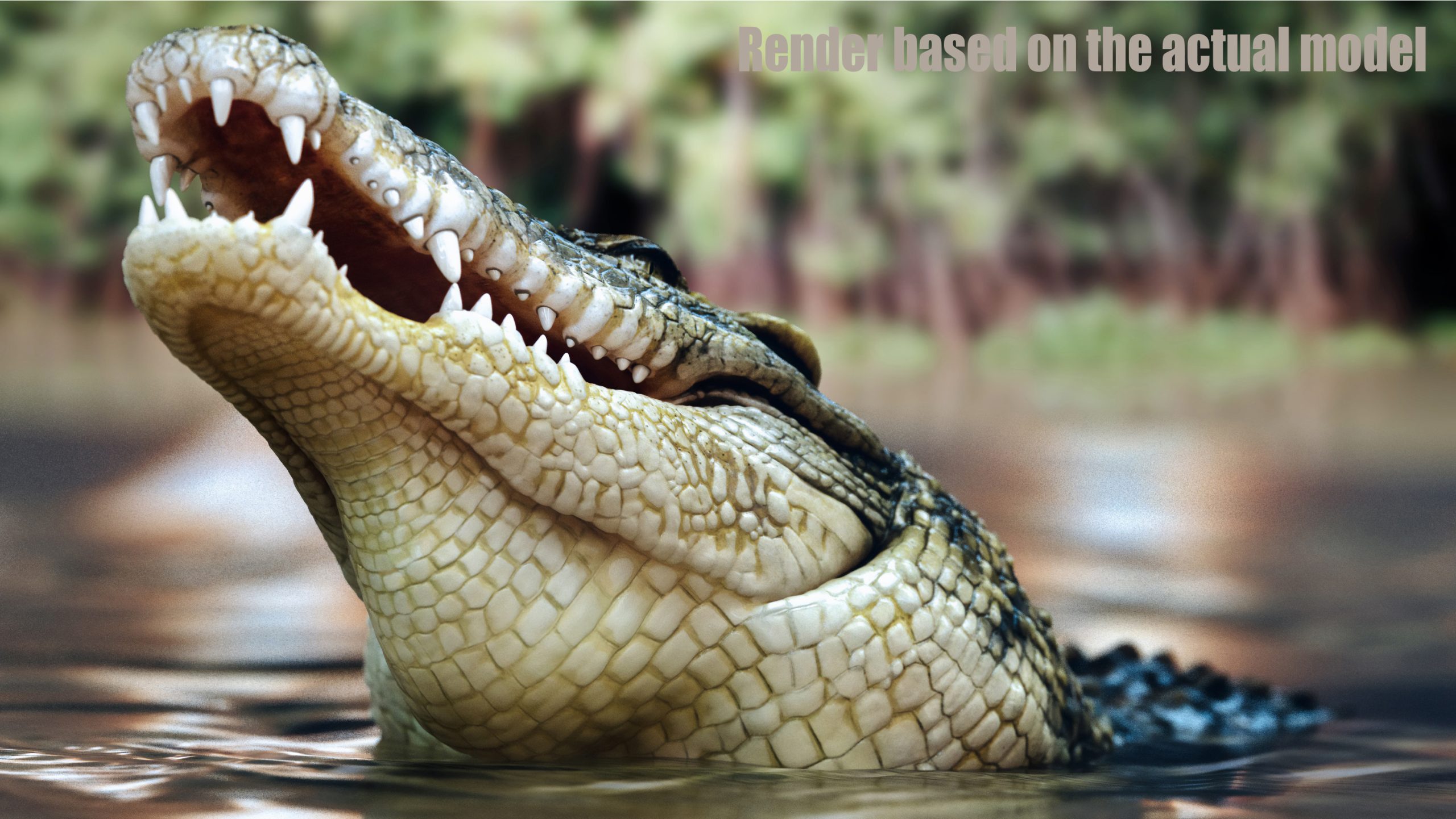 Crocodile asset