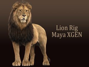 Buy 3D Models Online | Lion 3D Models Online