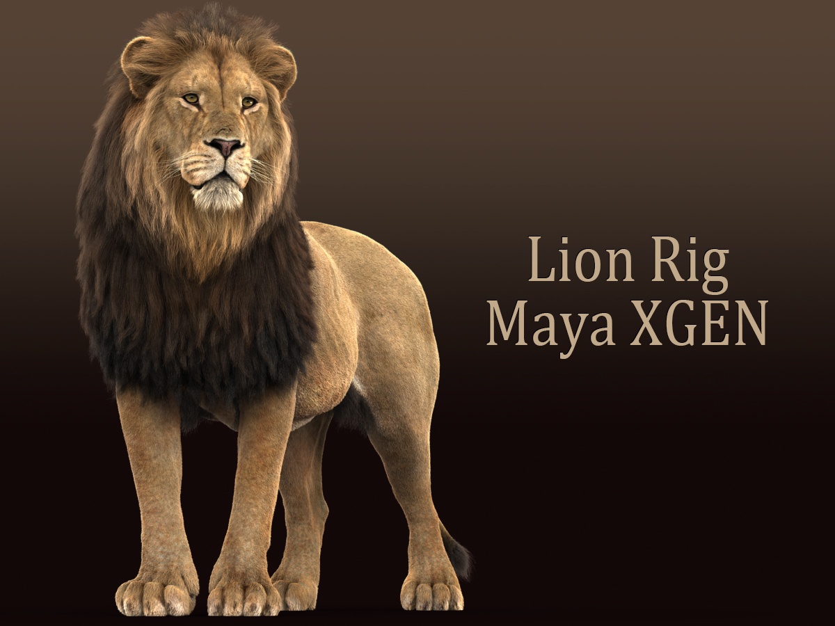 Buy 3D Models Online | Lion 3D Models Online