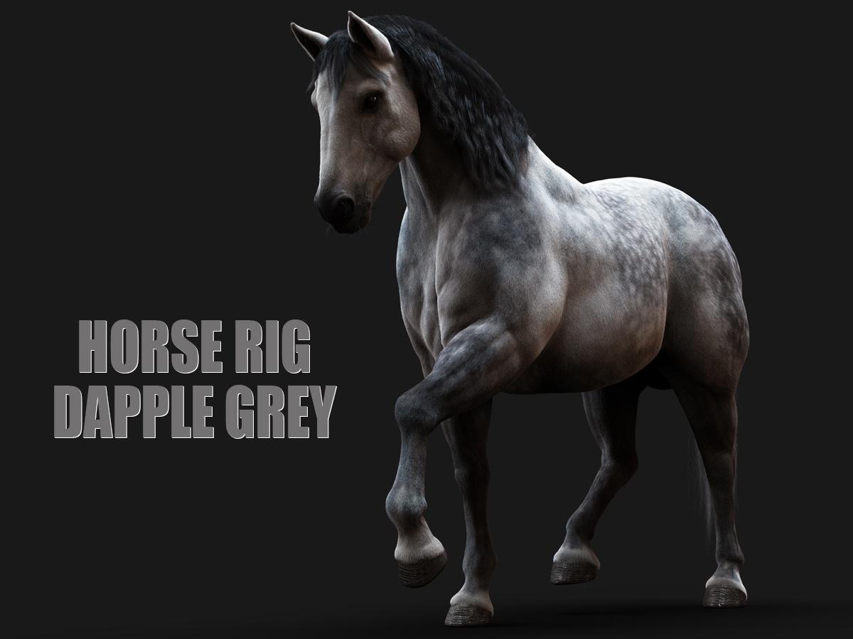 Buy 3D Models Online | Horse 3D Models Online