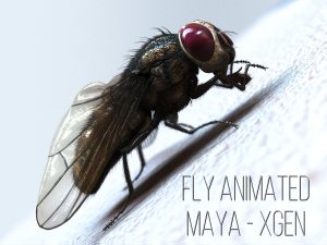 Buy 3D Models Online | Fly 3D Models Online
