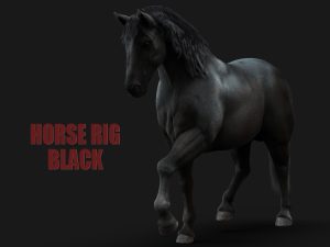 Buy 3D Models Online | Black Horse 3D Models Online | Horse 3D Models Online