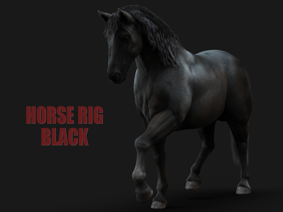 Horses XGEN