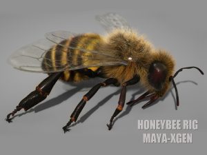Buy 3D Models Online | Honeybee 3D Models Online