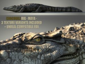 Crocodile Animated Online| Buy 3D Models Online