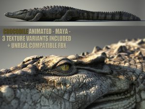 Crocodile Animated Online| Buy 3D Models Online