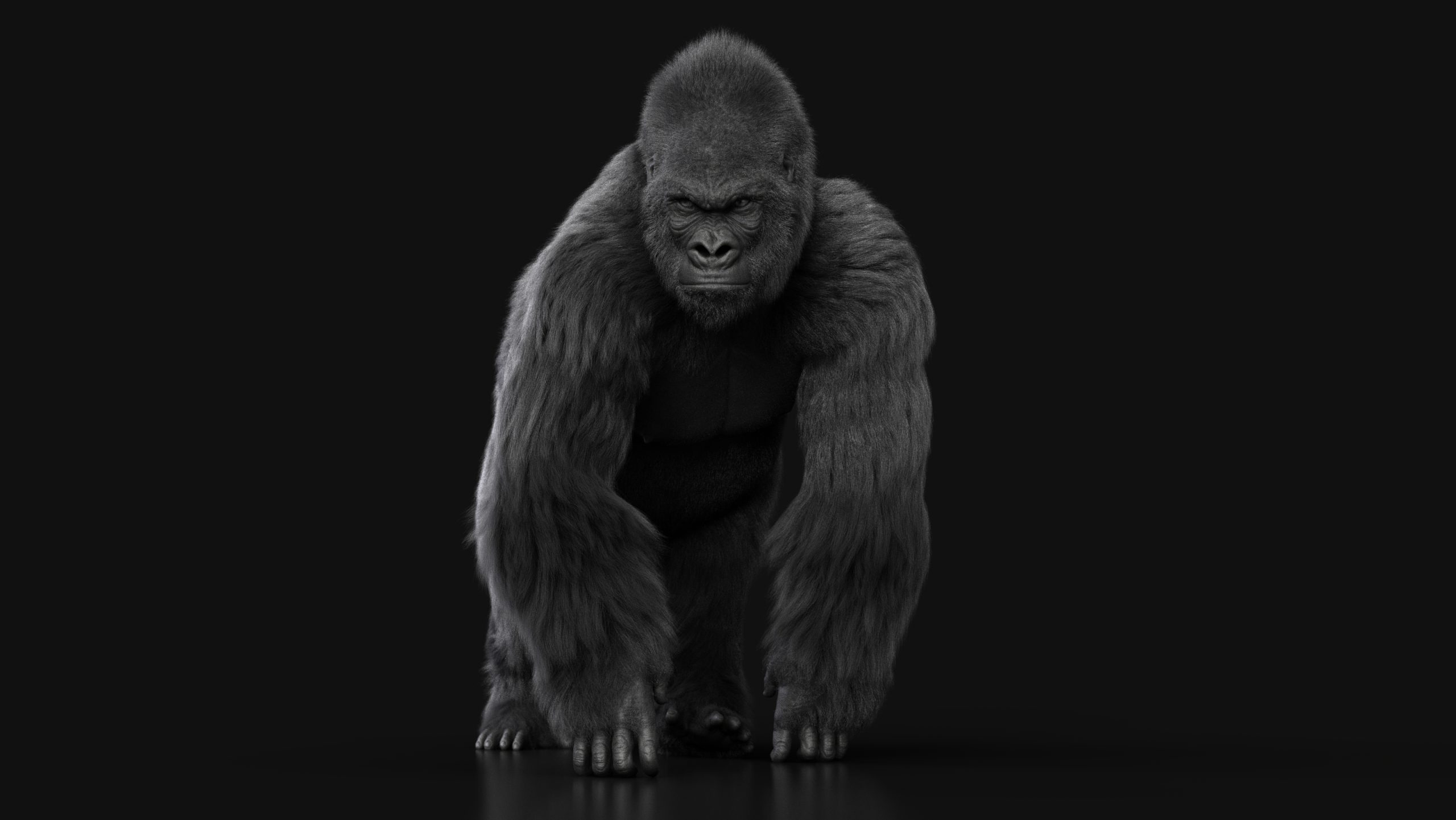 New Gorilla sculpt