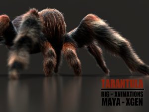 TARANTULA 3D model Online | Buy 3D Models Online