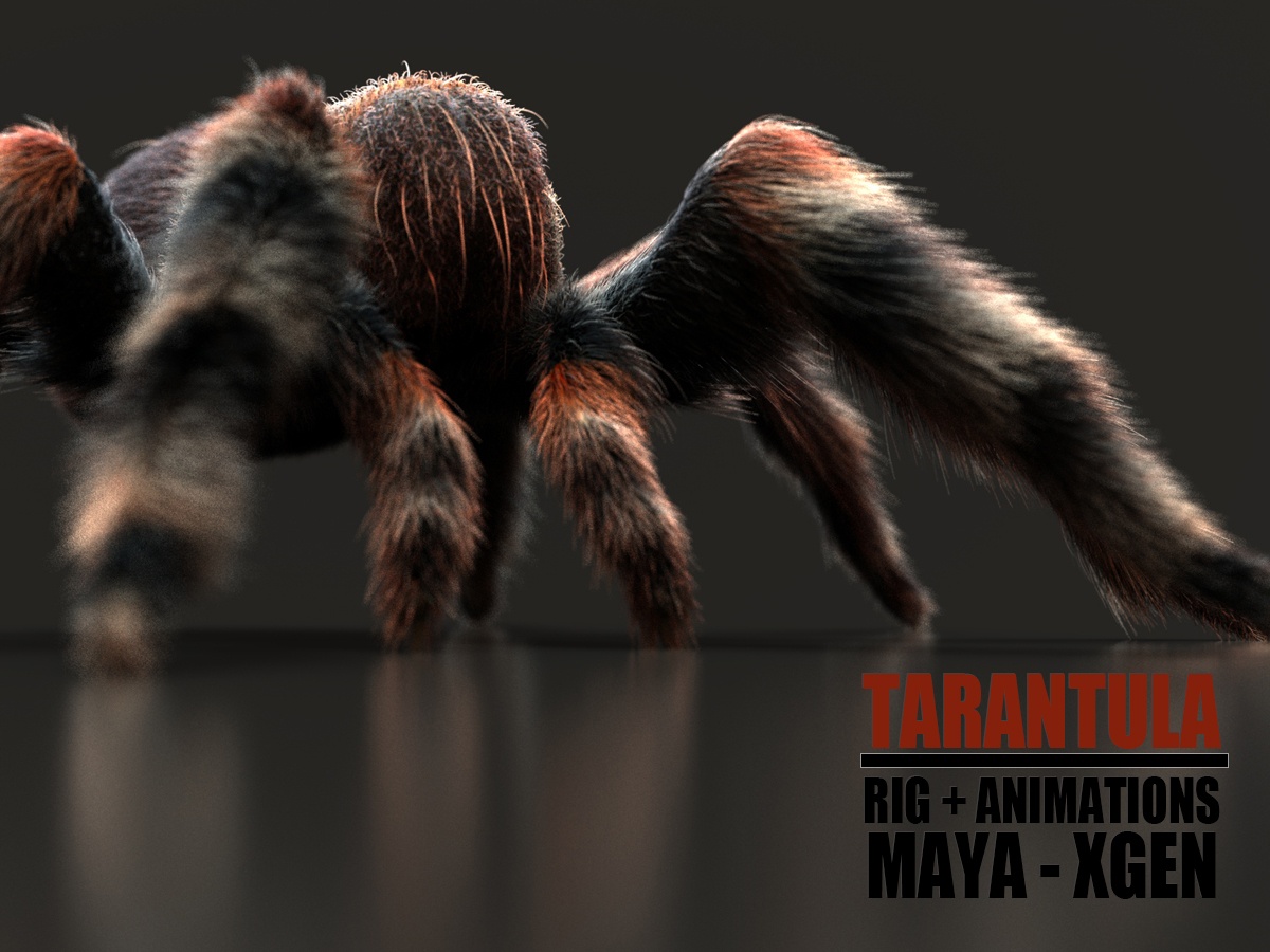 TARANTULA 3D model Online | Buy 3D Models Online