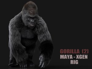 Gorilla 3D Models Online |Buy 3D Models Online