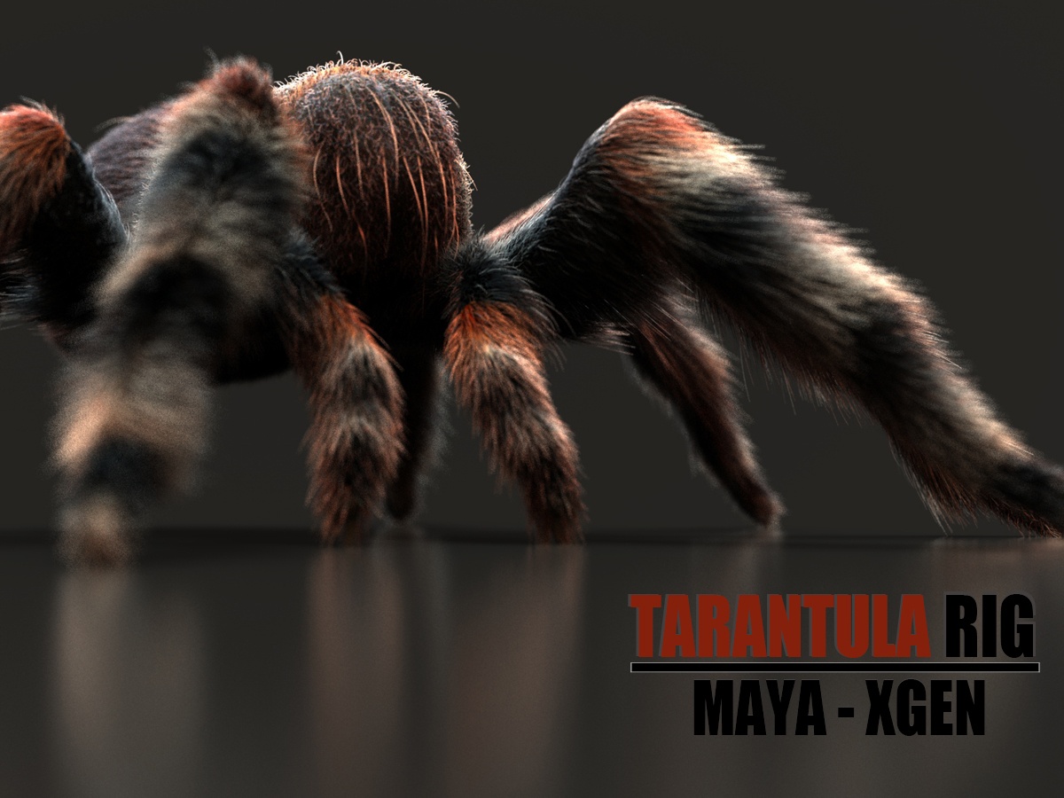 TARANTULA 3D model Online | Buy 3D Models Online
