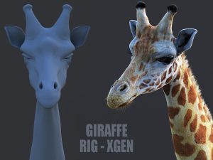 Giraffe Animated Online| Buy 3D Models Online
