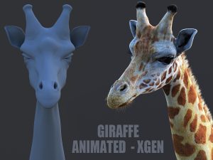 Giraffe Animated Online| Buy 3D Models Online