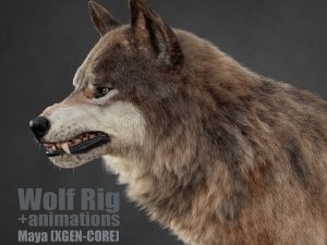 Wolf 3D Models | Animal 3d Models