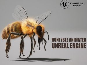 Honey Bee online | Buy 3D Models Online
