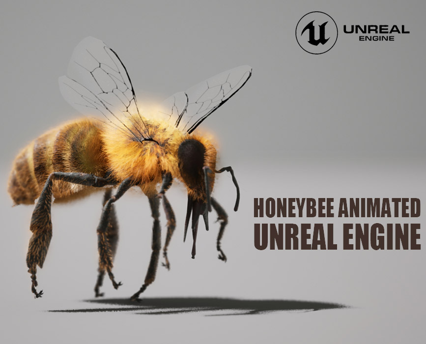 Honey Bee online | Buy 3D Models Online